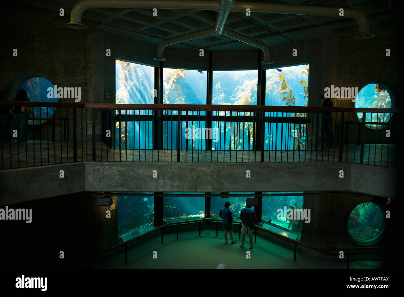 Large tank exhibit Monterey Bay Aquarium, California, USA Stock Photo ...