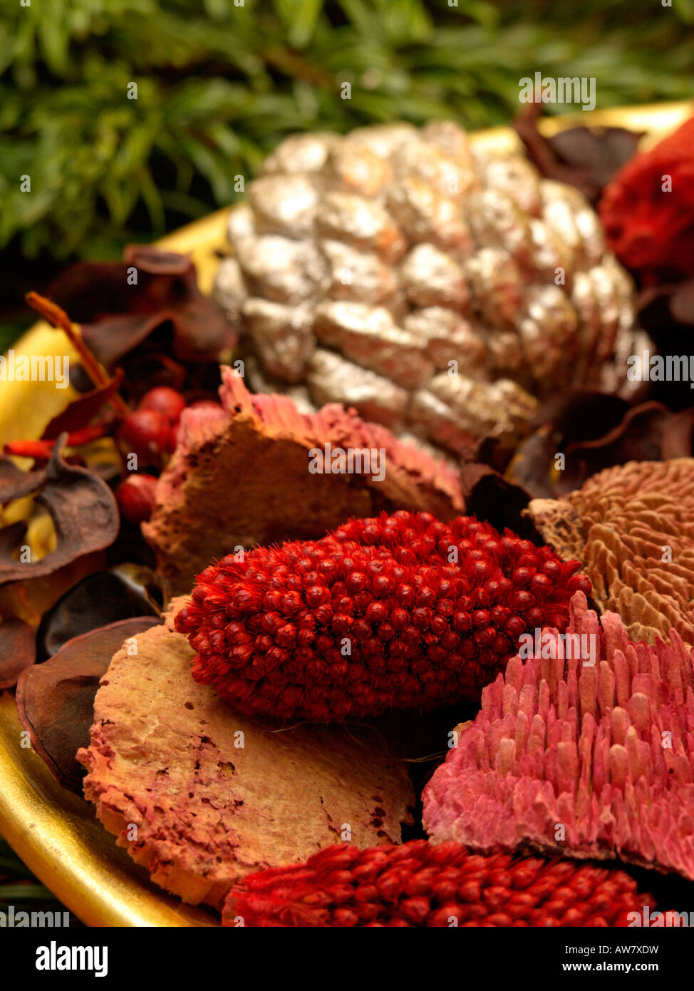 Christmas decoration with potpourri of dried plant parts Stock Photo
