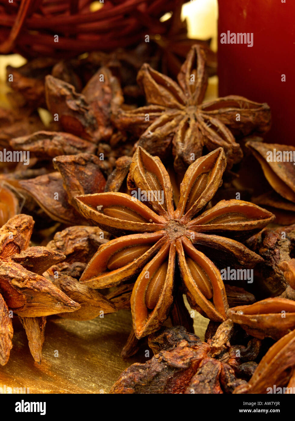 Chinese star anise (Illicium verum Stock Photo Alamy