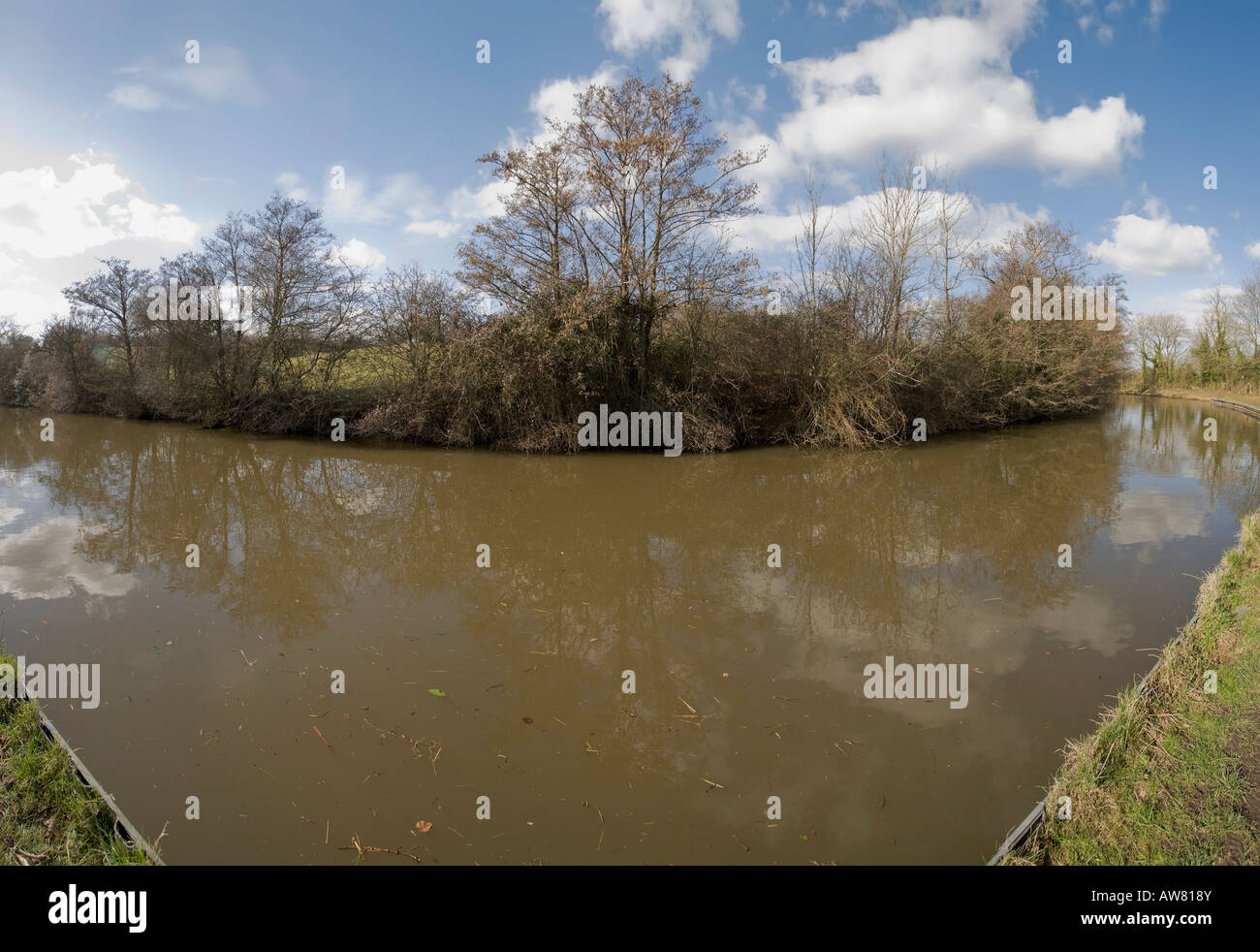The banks of a river with bushes and trees Stock Photo - Alamy