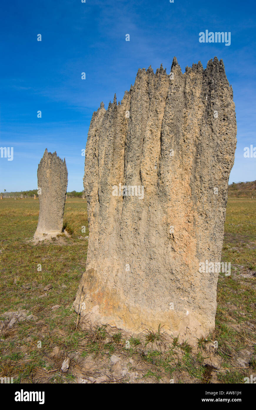 Magnetic termite mounds Stock Photo