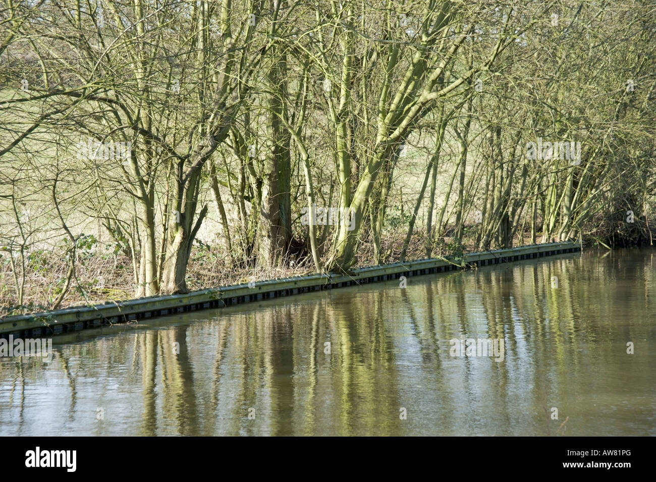 The banks of a river with bushes and trees Stock Photo - Alamy
