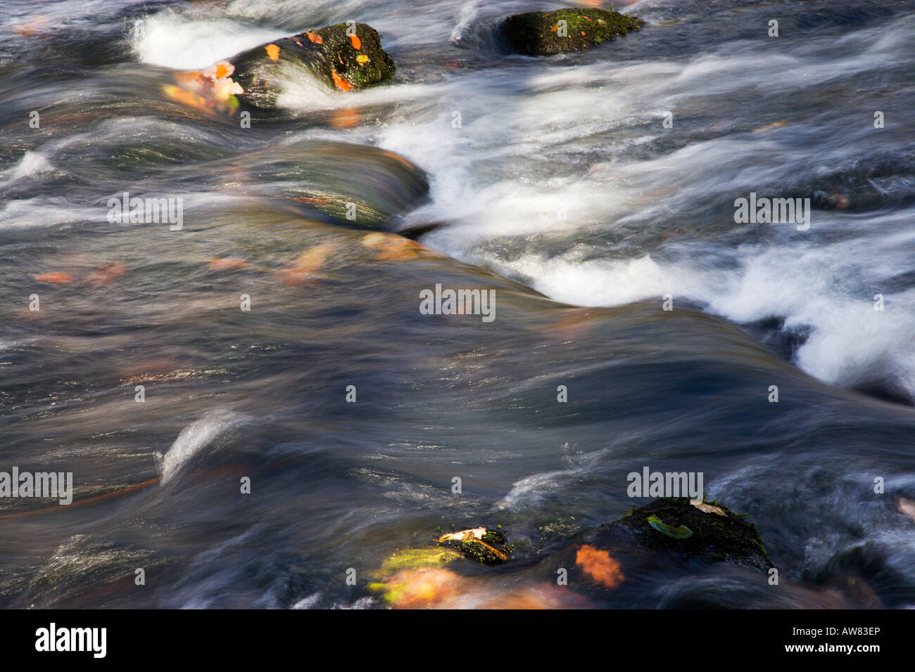 River Rothery Late Autumn Colours In October On The River Rothay Flowing Over Rocks ...