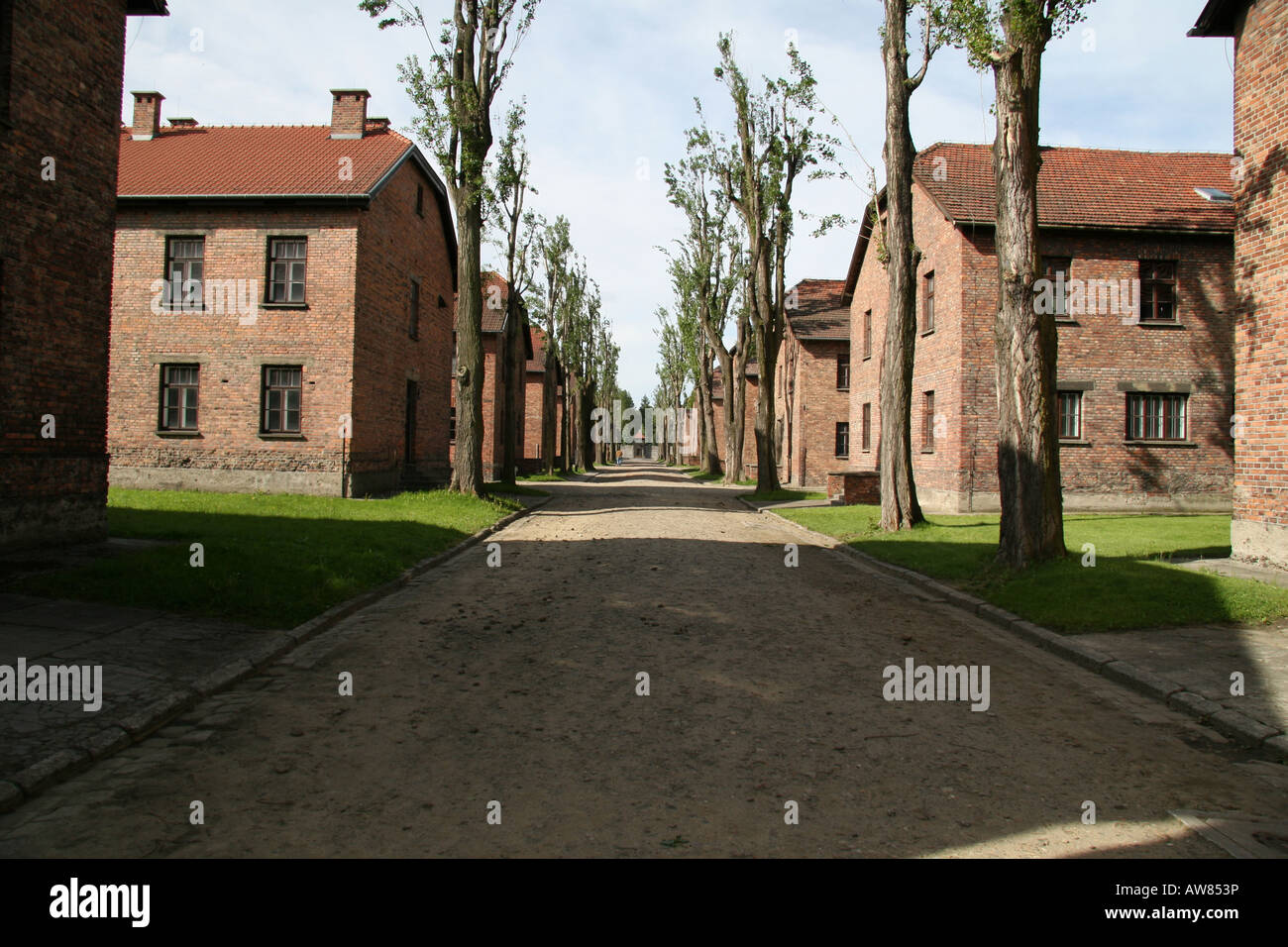 A view down one of the tree lined avenues in the former Nazi concentration camp at Auschwitz, Oswiecim, Poland. Stock Photo
