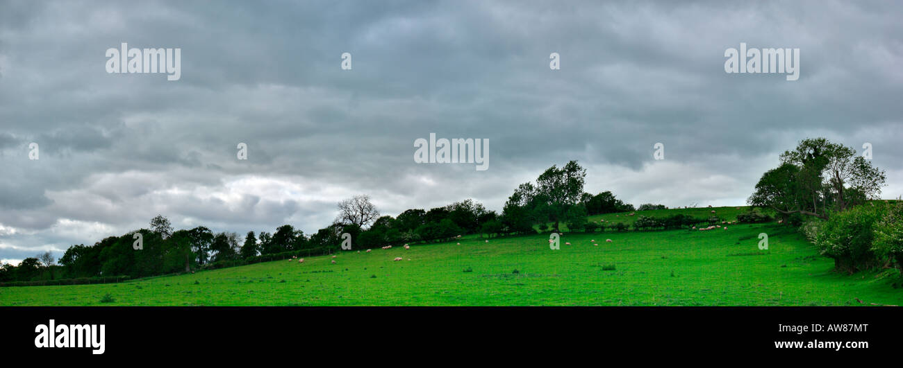 A hill with sheep grazing on it with imposing clouds in the sky Stock ...