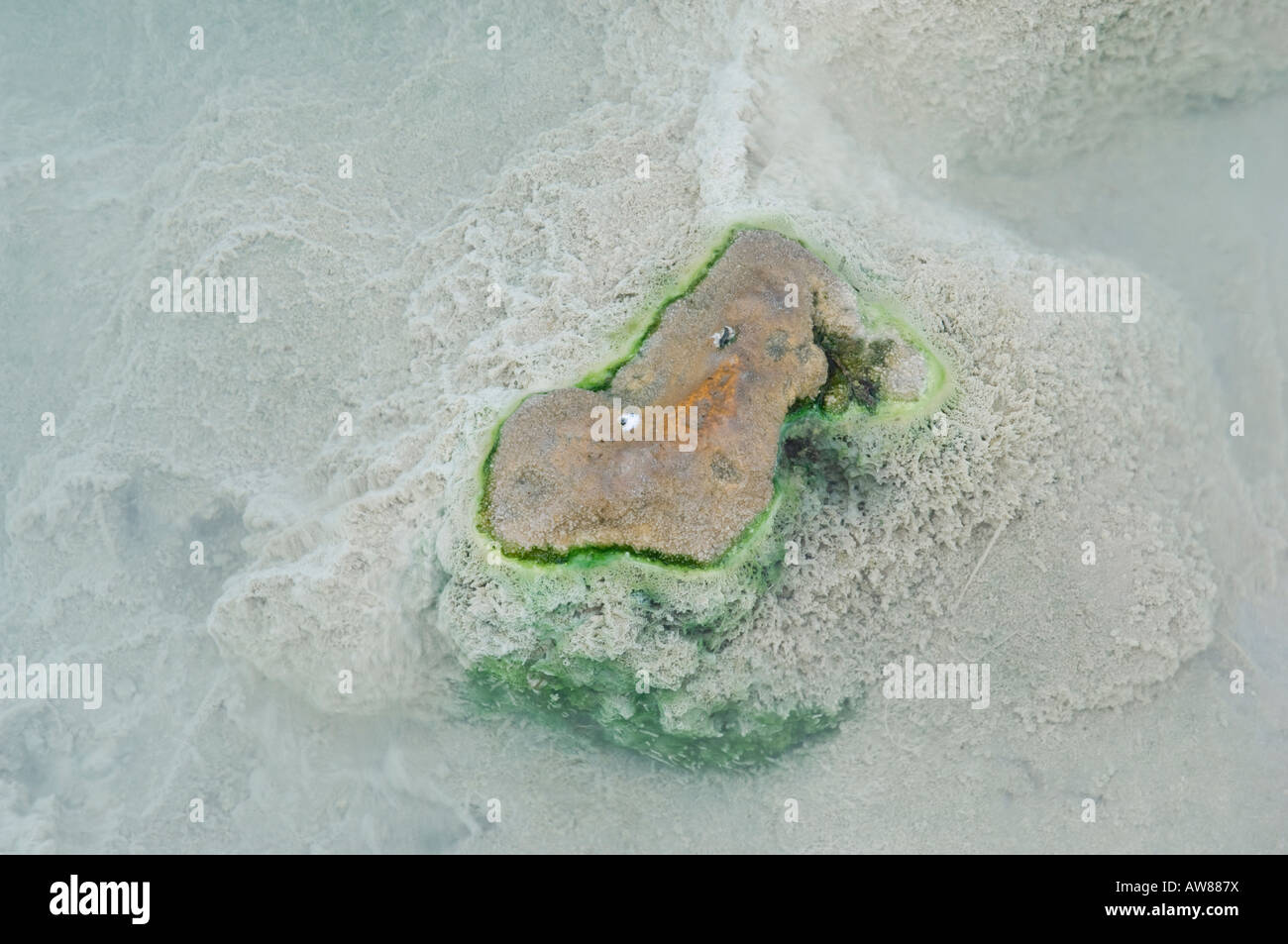 sulphureous water and caked rock Stock Photo