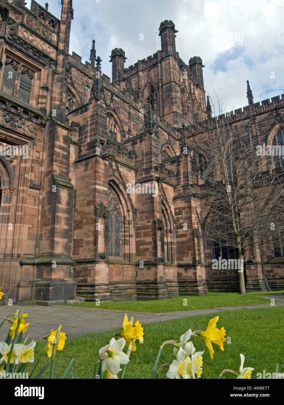 Chester Cathedral and Daffodils Stock Photo