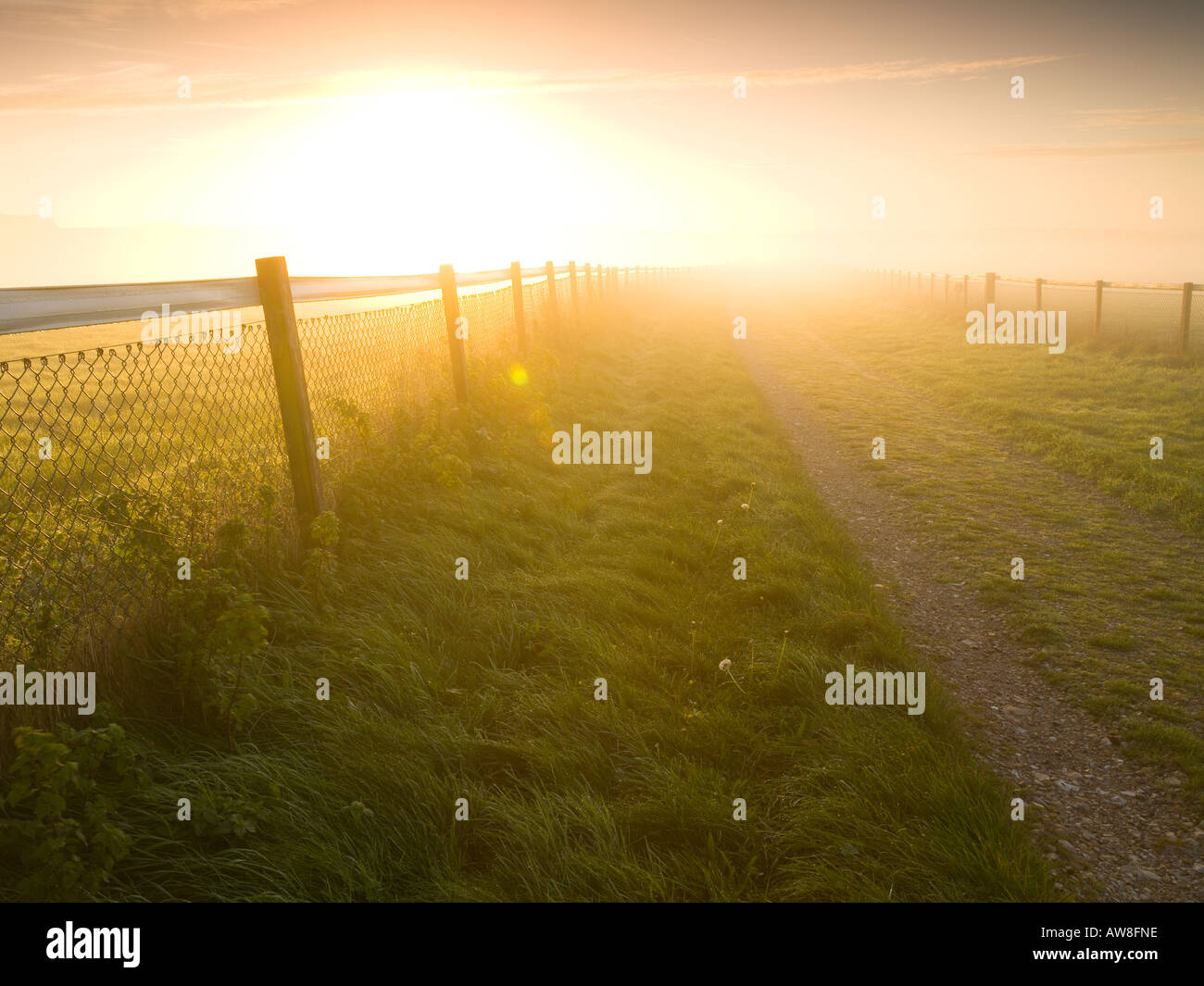 Wayfarers Walk on Watership Down near Kingsclere North Wessex Downs AONB Hampshire UK Stock