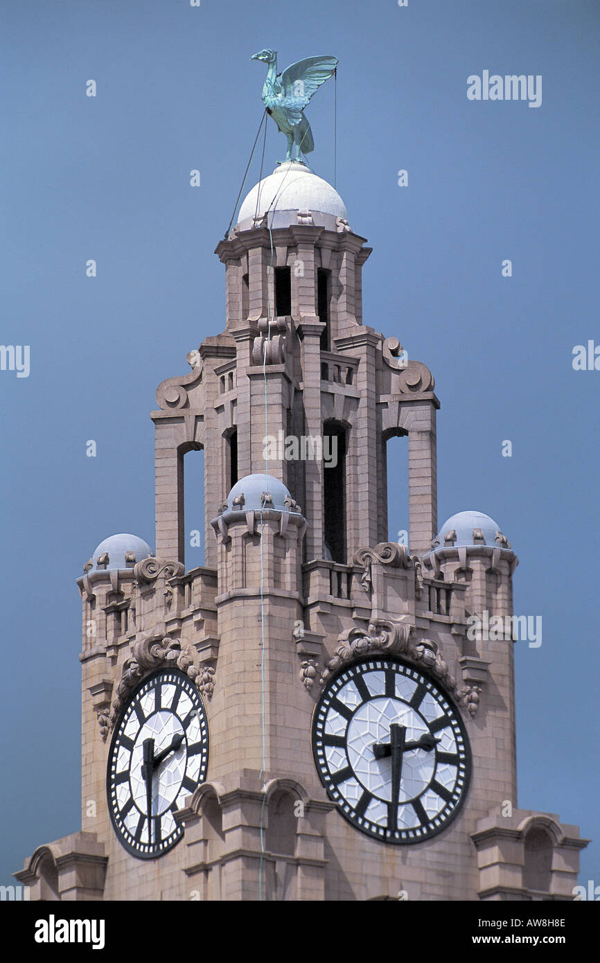 Liver Bird on the clock tower of the Liver Building City of Liverpool Merseyside England Stock
