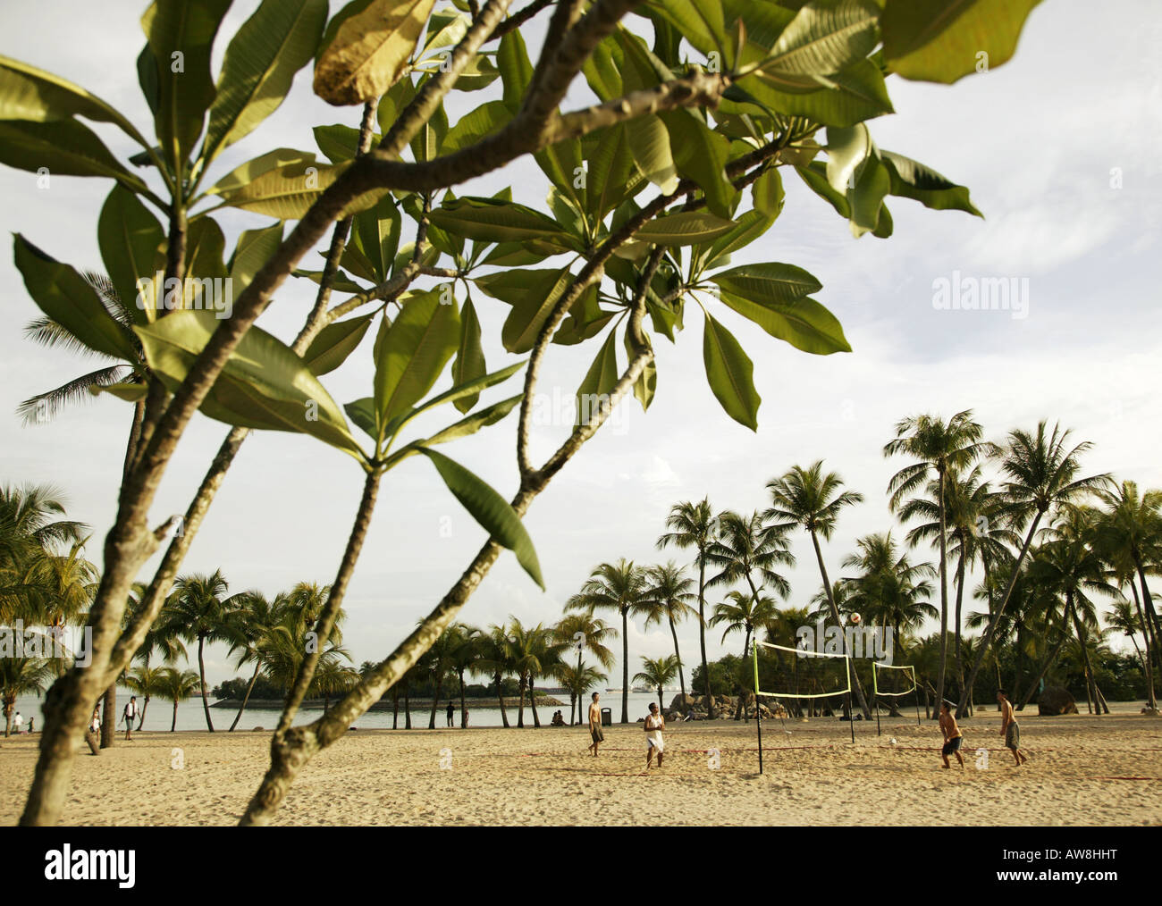 Playing volleyball in Sentosa Island, Singapore Stock Photo