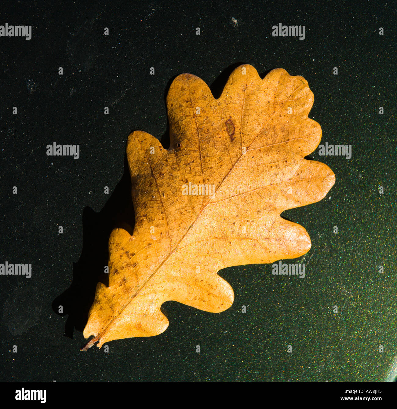 Green glowing object on dark hi-res stock photography and images - Alamy