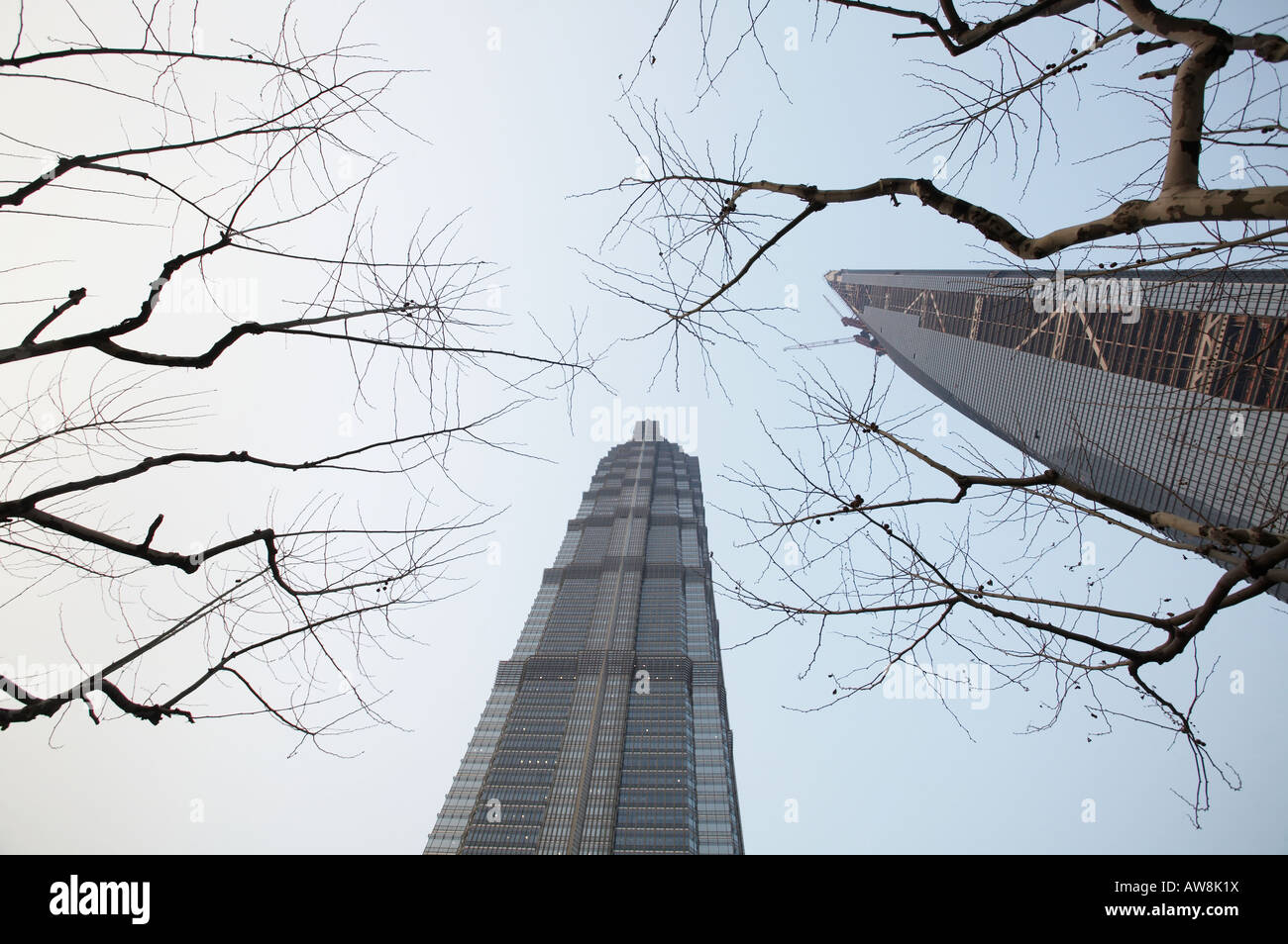 The Jin Mao Tower and World Financial Centre in Shanghai in Peoples Republic of China PRC jinmao center Stock Photo