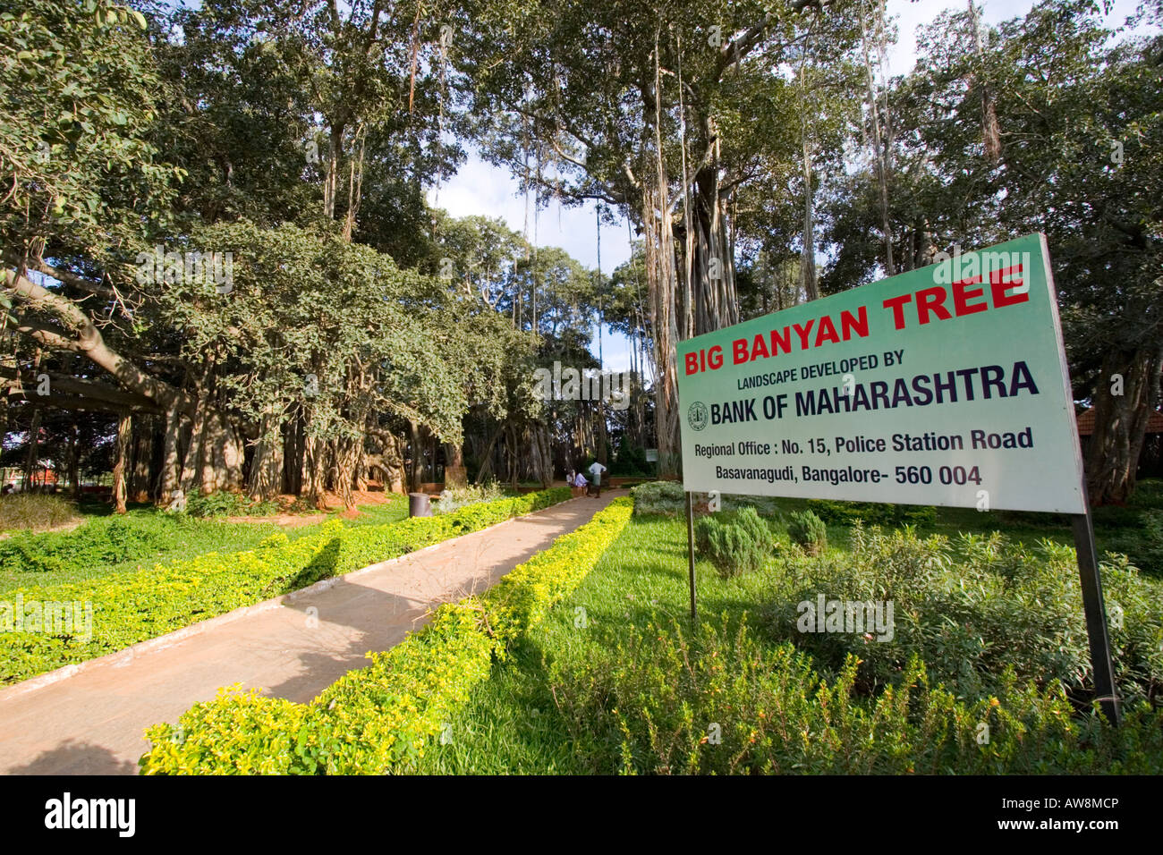 The Big Banyan Tree a popular tourist spot at Ramohalli near Banaglore