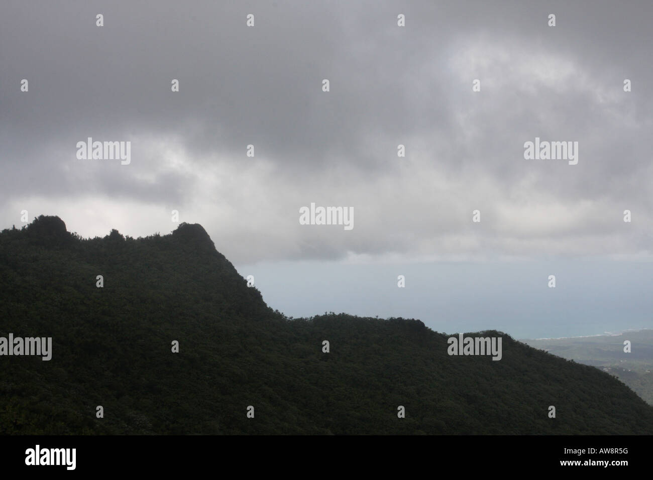Weather el yunque puerto rico