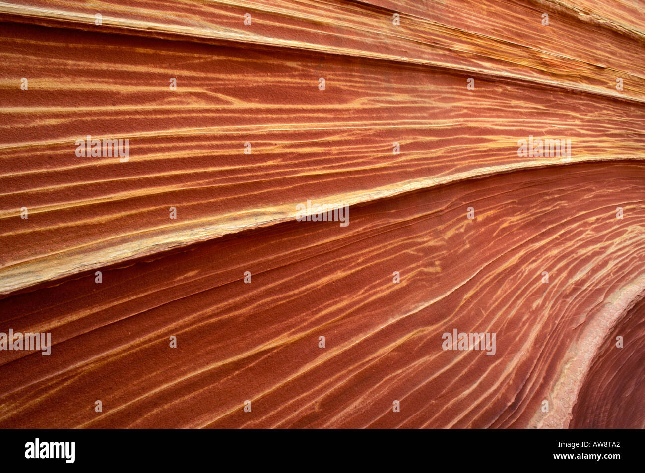 Detail of sandstone formation known as The Wave in the Coyote Buttes area Paria Canyon Vermilion Cliffs Wilderness Arizona Stock Photo