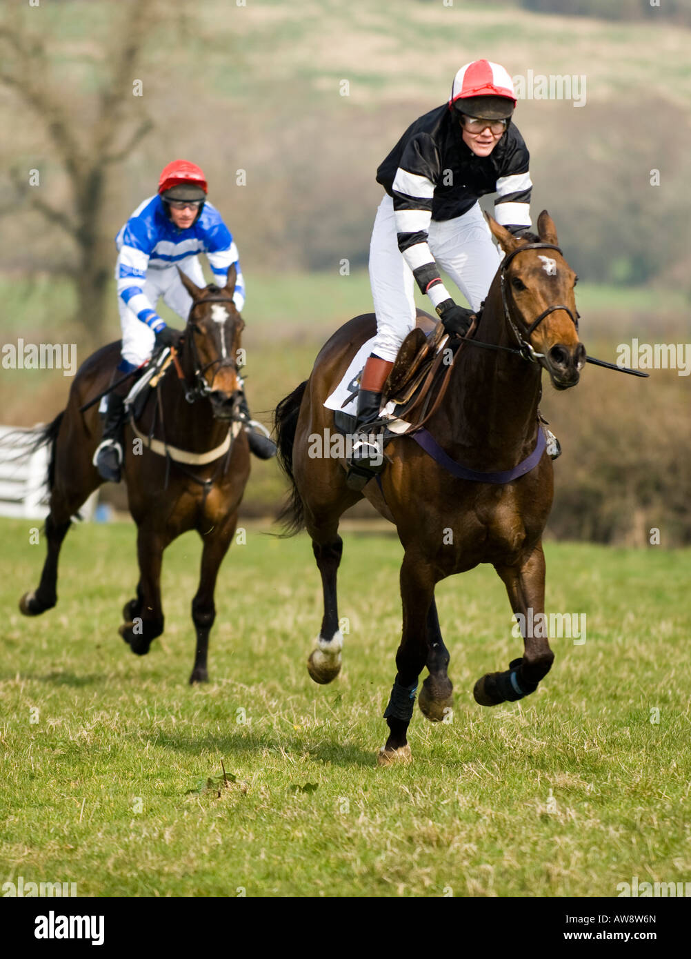 Steeple chase at little windsor Stock Photo