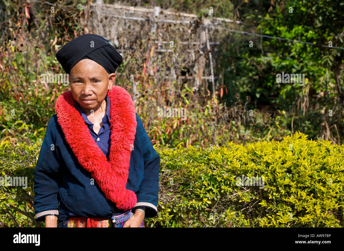 Iu Mien also called Yao hill tribe woman in northern Thailand Stock Photo