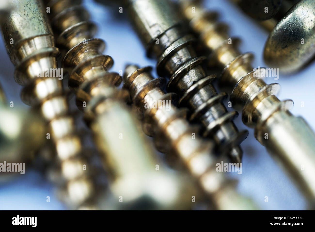 Traditional brass screws in macro close-up detail Stock Photo