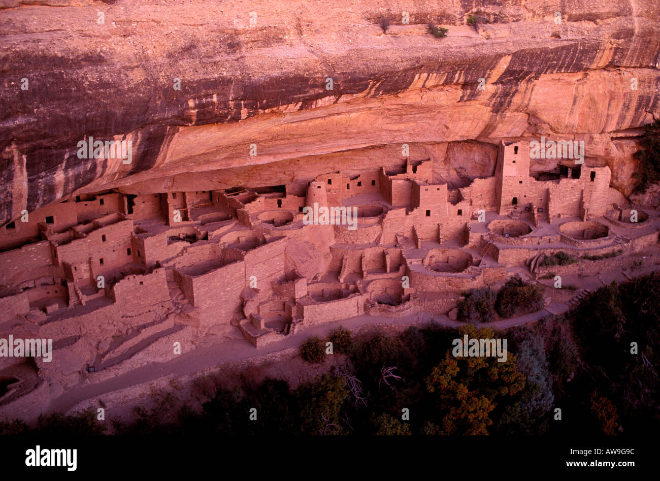 Evening light on Cliff Palace Ruins Mesa Verde National Park Colorado ...