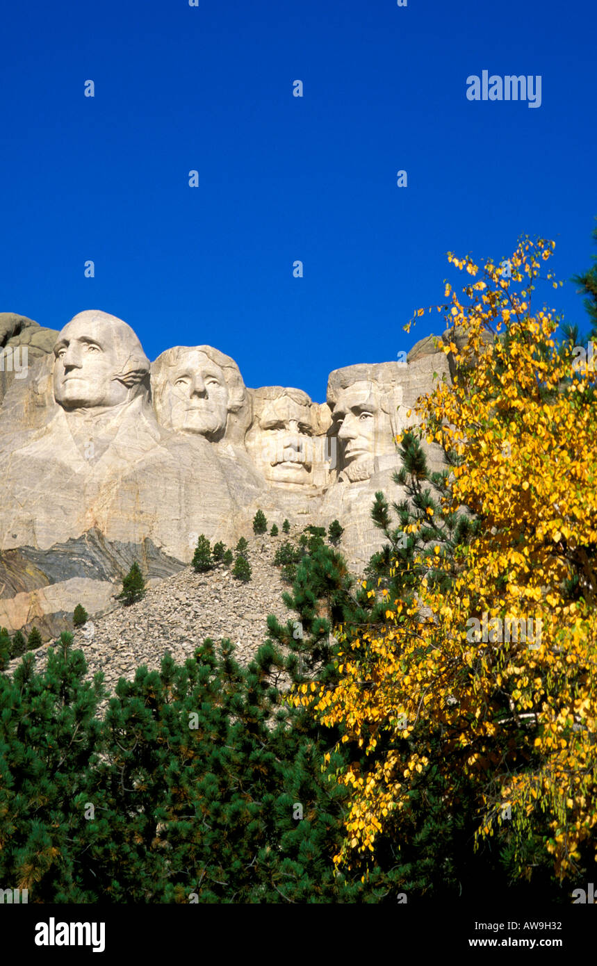 Morning light on Mount Rushmore and fall color under blue sky Mount