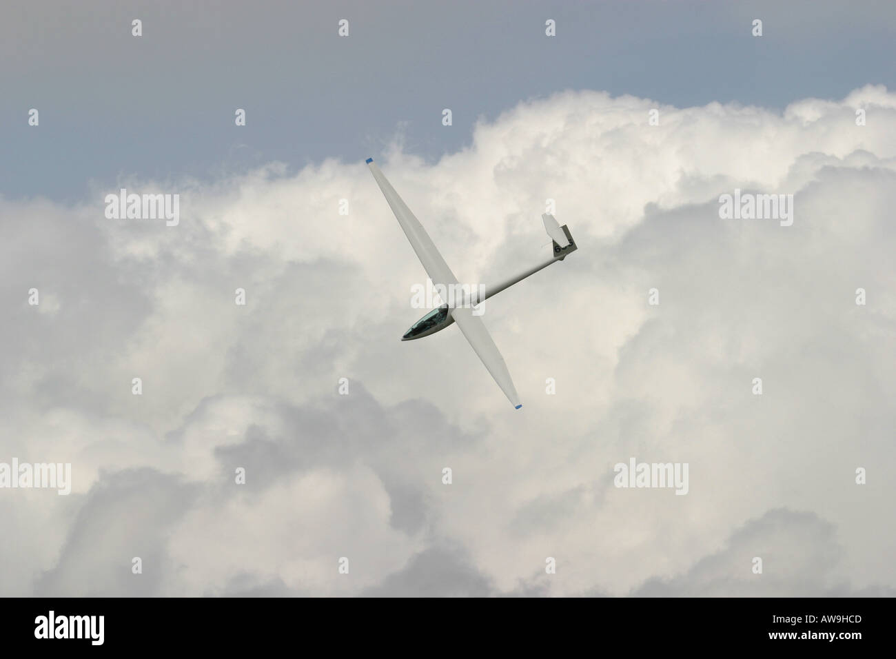 A glider soaring above the clouds Stock Photo Alamy