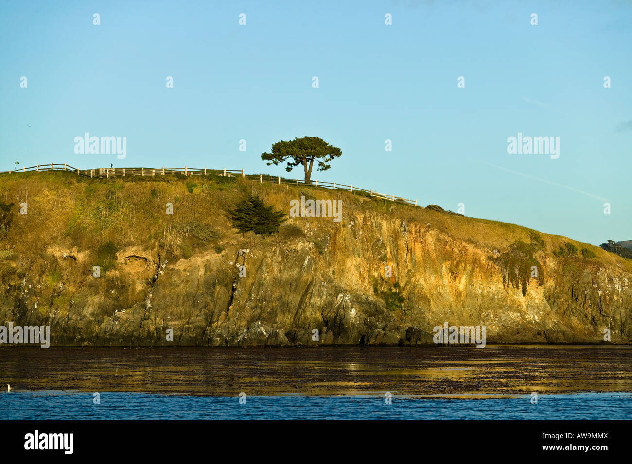 Carmel Pebble Beach, Golf Course California, USA Stock Photo Alamy
