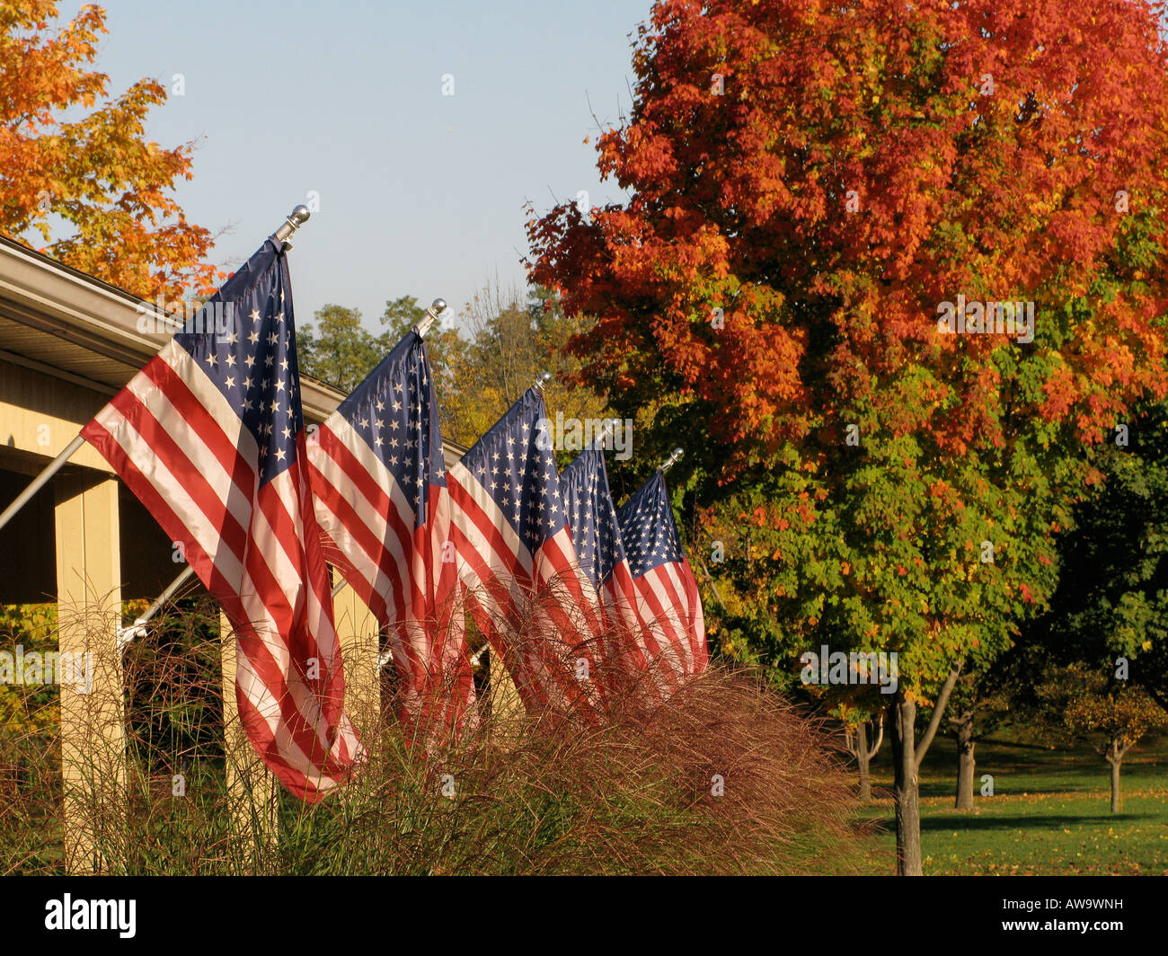 Patriotic display of American Flags Stock Photo - Alamy