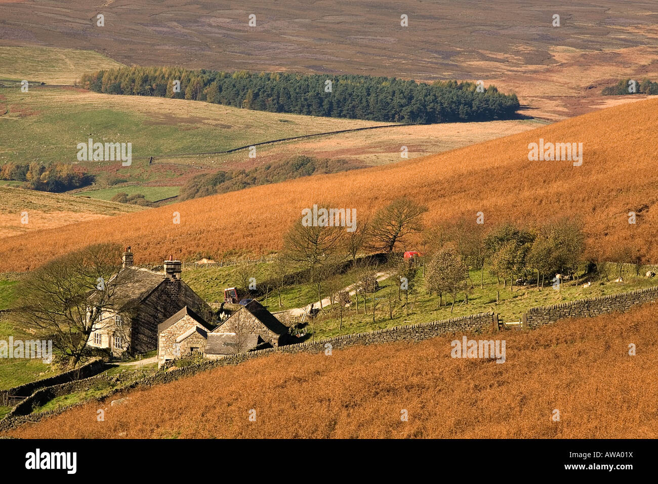 Hills woods forest fields farms trees hires stock photography and