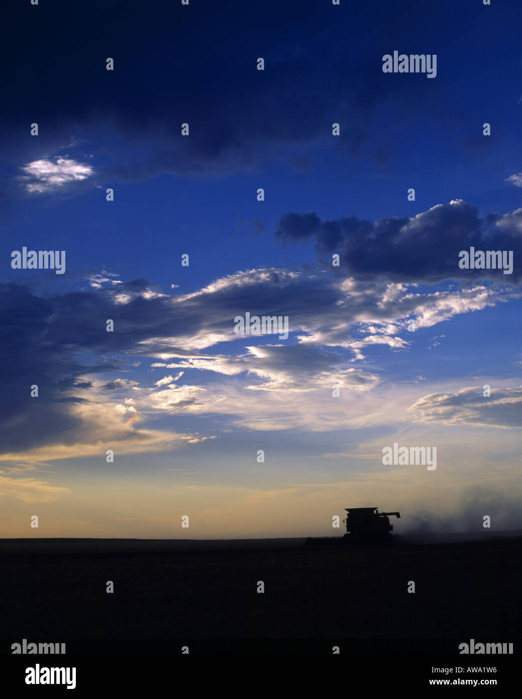 Grain field at sunset hi-res stock photography and images - Alamy