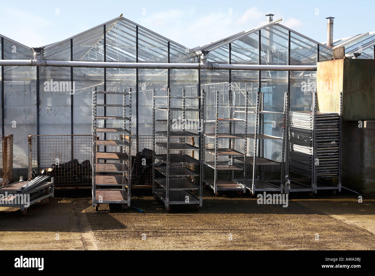 glass greenhouses in industrial scale at hoop hill nurseries county