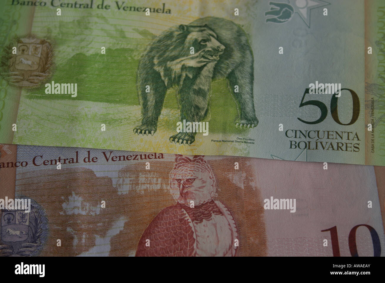 Venezuela Bolivares Fuertes, new 2008 currency. Bolivares Fuertes, nueva moneda Venezolana 2008 Stock Photo