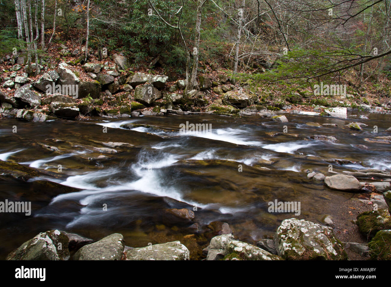 Whitetop laurel creek hires stock photography and images Alamy