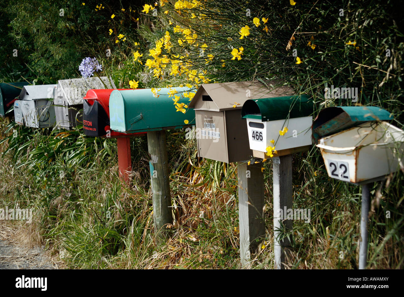 Coloured Mailboxes, South Island, New Zealand Stock Photo Alamy