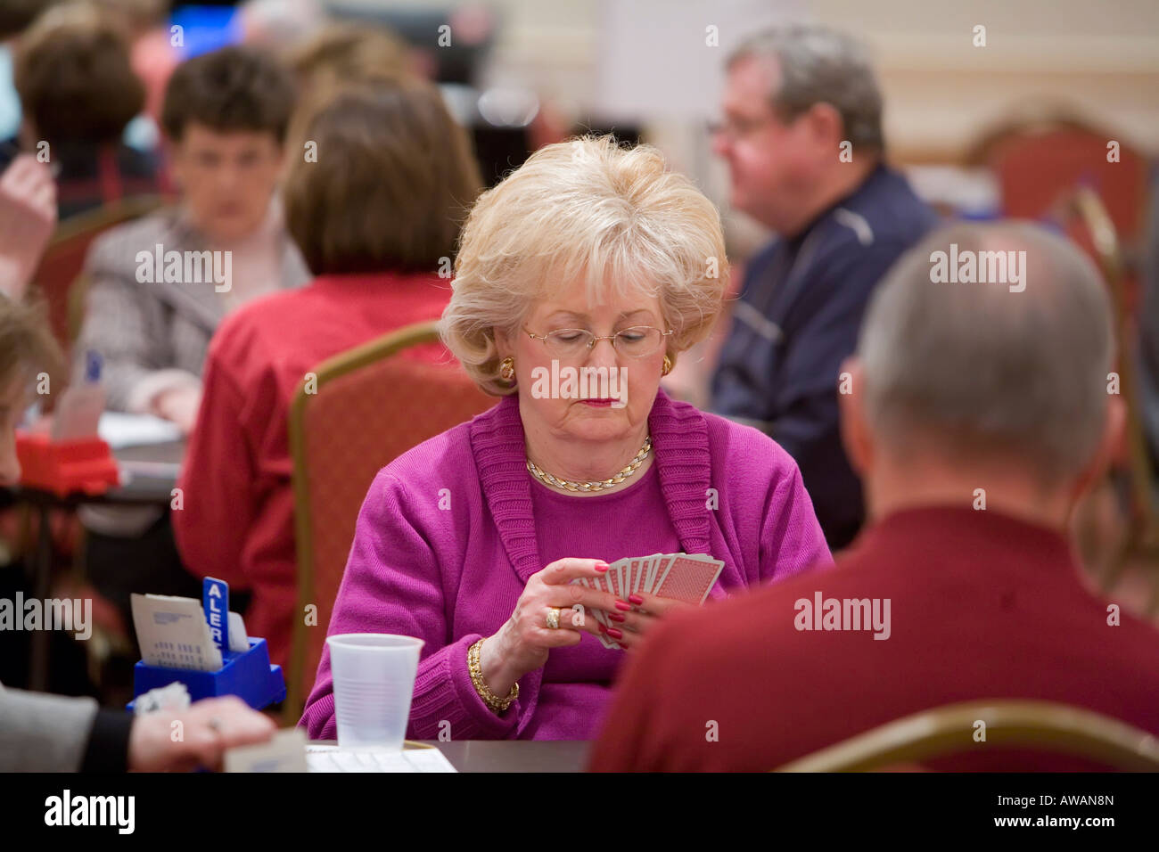 Duplicate bridge tournament Stock Photo