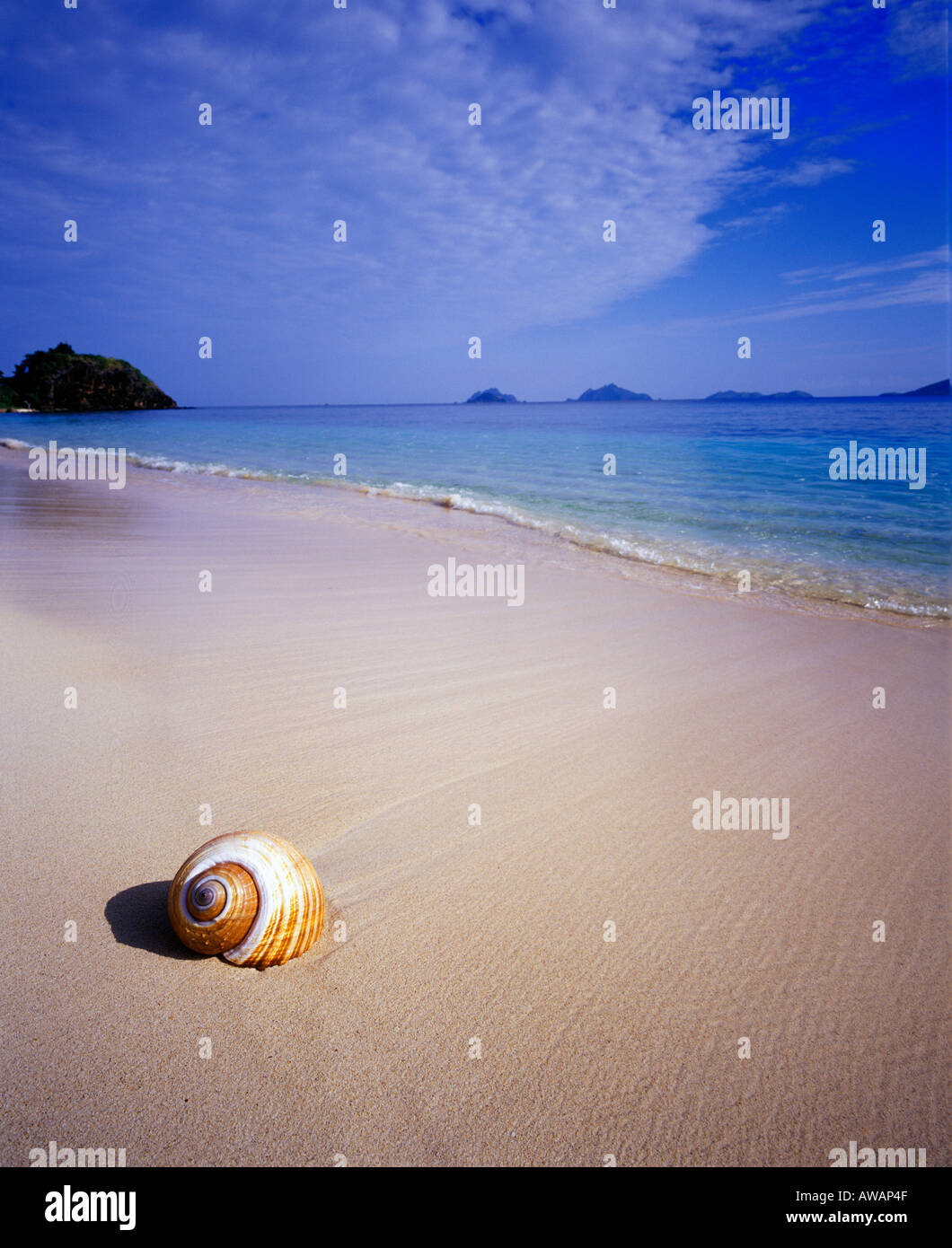 Seashell paradise hi-res stock photography and images - Alamy