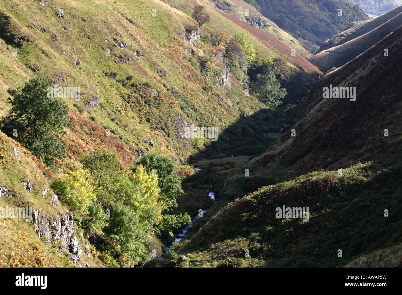 Looking downstream in Alva Glen during autumn in the Ochils. Stock Photo