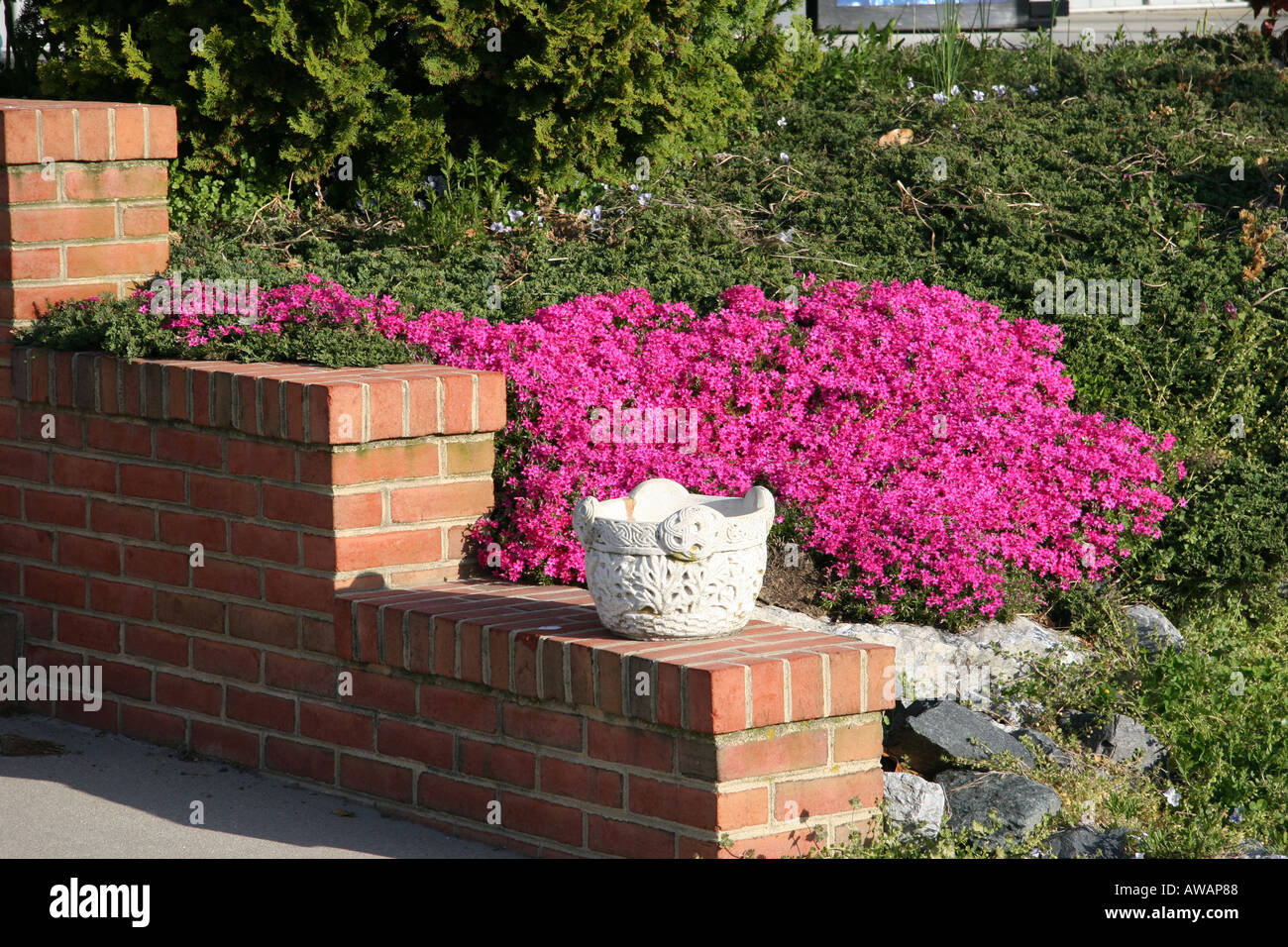Brick Red Flowers High Resolution Stock Photography and Images Alamy