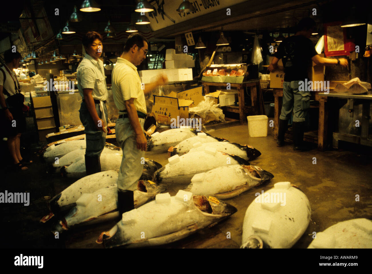 Tsukiji fish market, Tokyo, Japan Stock Photo Alamy