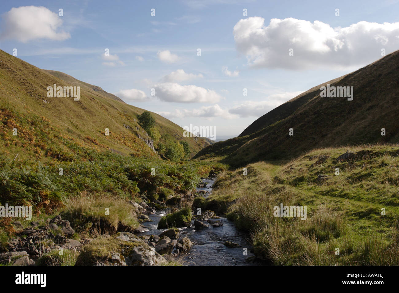 Looking downstream in Alva Glen during autumn in the Ochils. Stock Photo