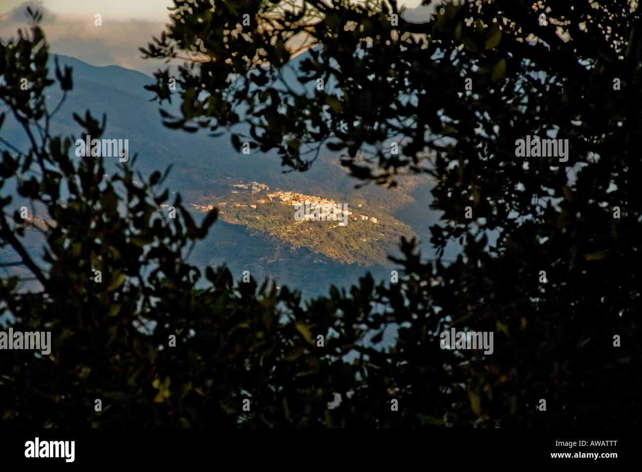 The whitewashed walls of the Andalusian hill town of Gaucin, Spain Stock Photo