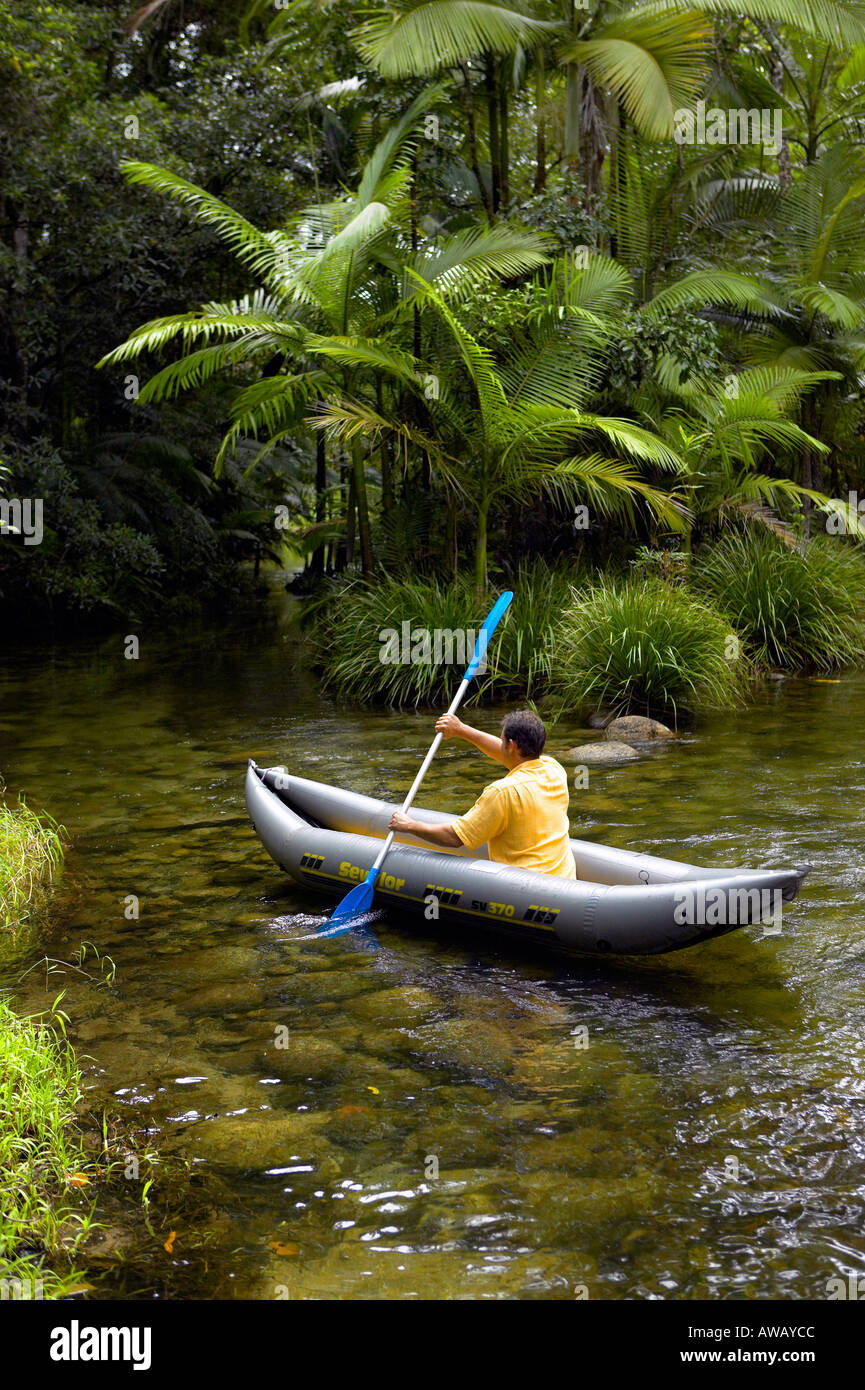 Daintree Forest Tropical North Queensland Australia model release 434