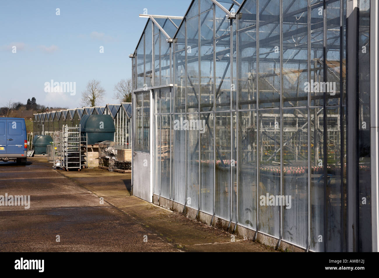 glass greenhouses in industrial scale at hoop hill nurseries county