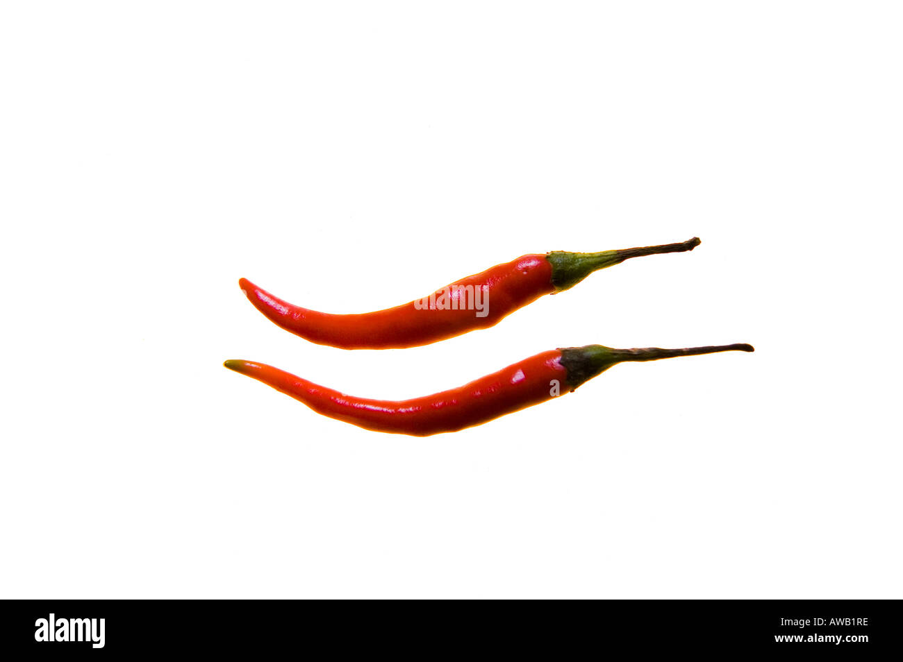 Two Red Chillis Cutout Stock Photo