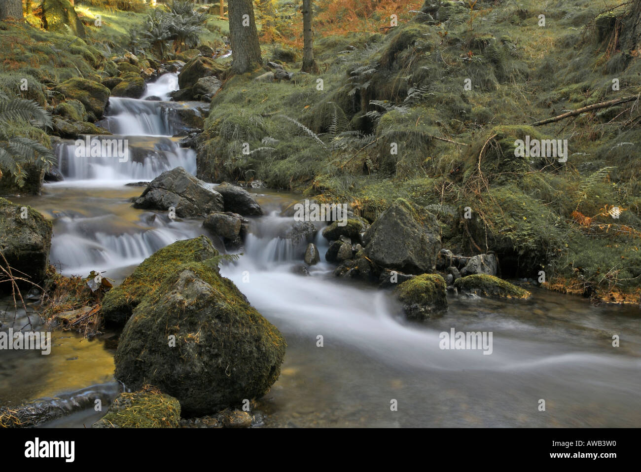 Stream flowing into lake hi-res stock photography and images - Alamy