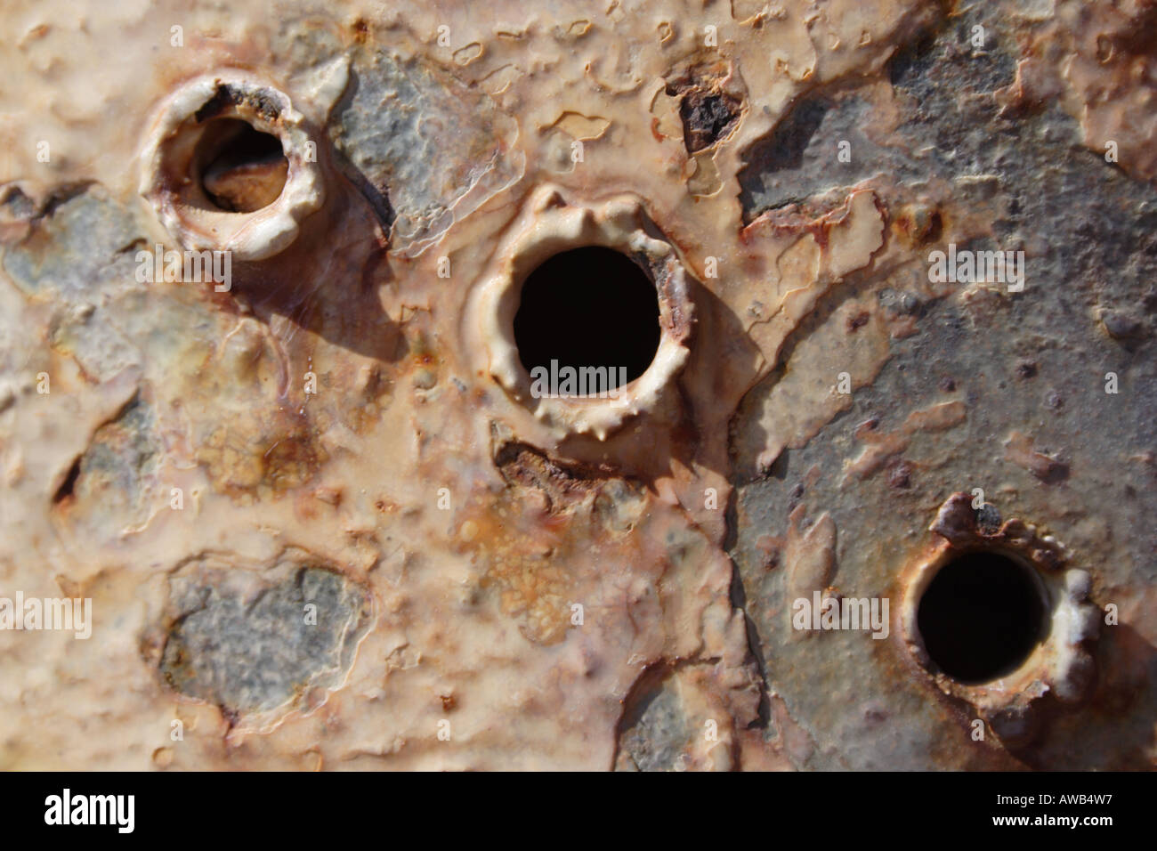 3 bullet holes through a metal pipe rusted and encrusted by minerals at Crystal Geyser Stock Photo
