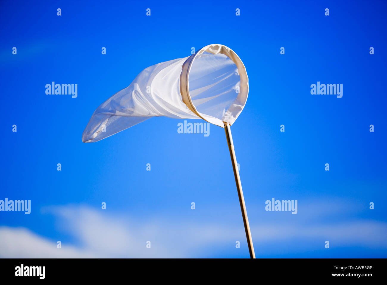Butterfly net against blue sky Stock Photo Alamy