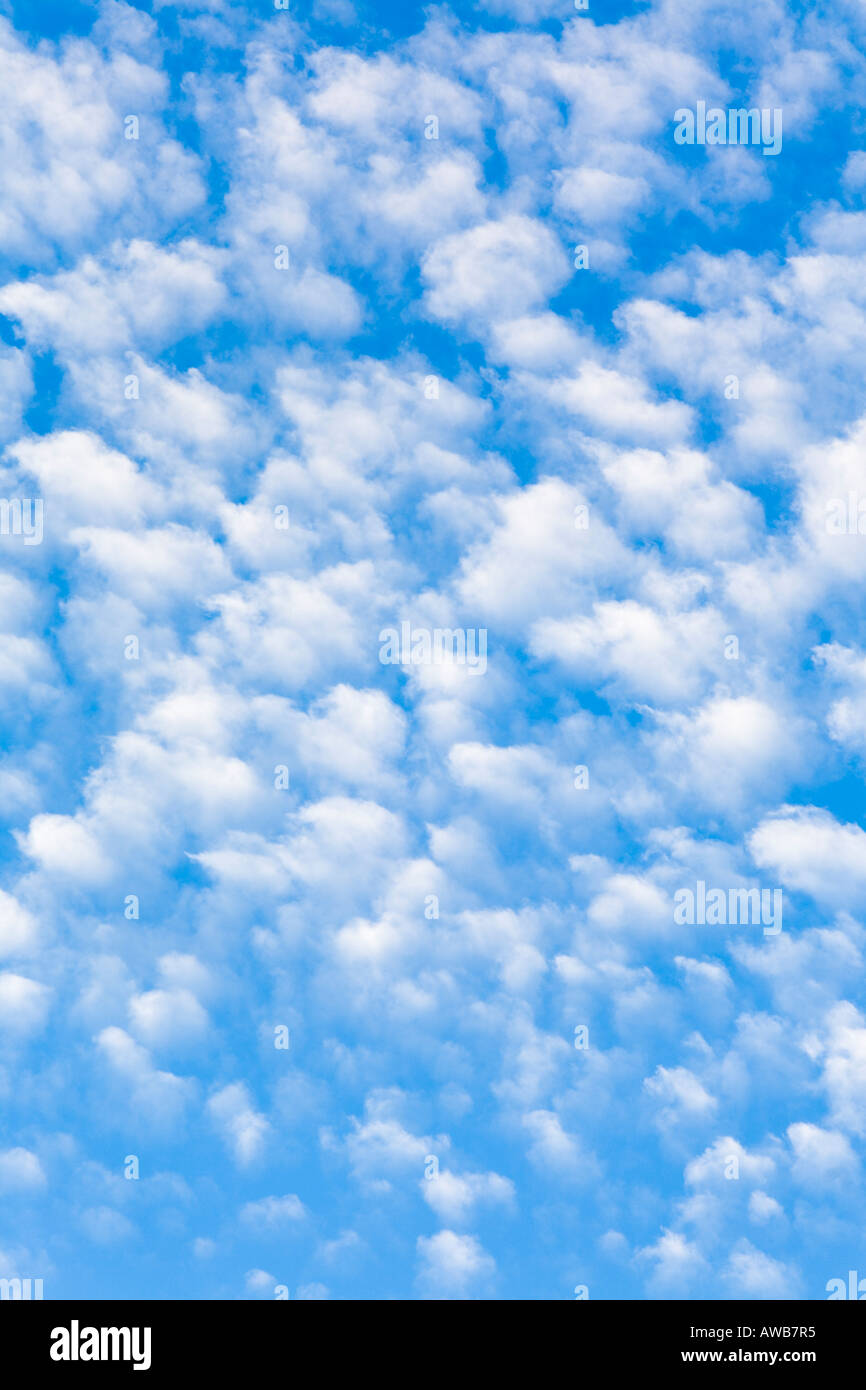 Blue sky with cotton wool clouds Stock Photo Alamy