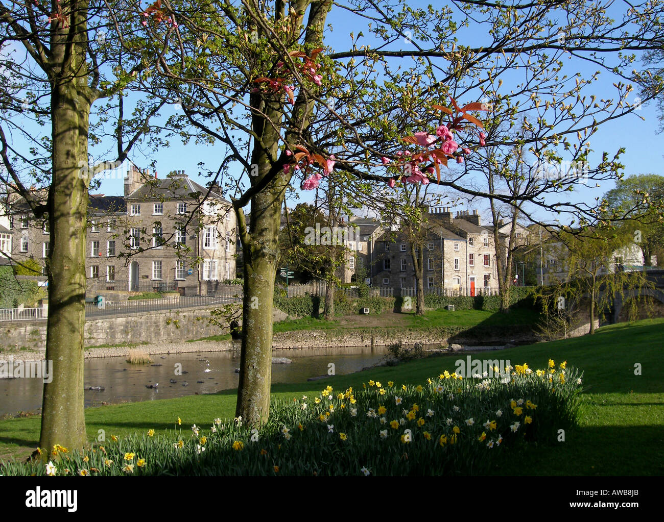 The River Kent with a backdrop of Limestone Houses, Kendal, Cumbria