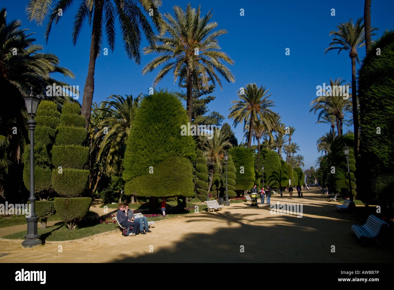 Winter sun at the Parque Genoves in Cadiz Spain Stock Photo