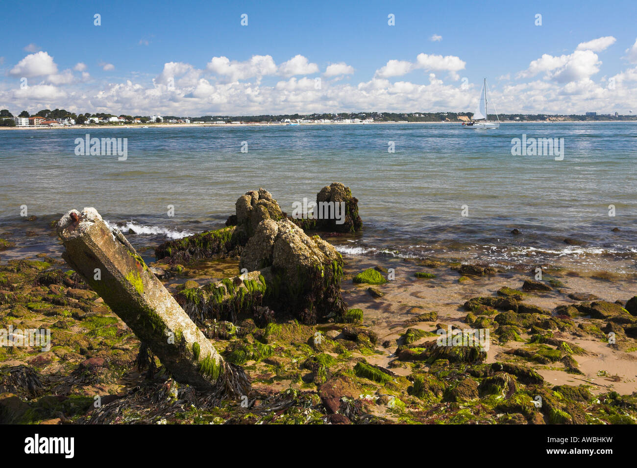 Remains of coastal defences at Studland Bay, Dorset Stock Photo